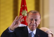 Путин провёл телефонный разговор с Эрдоганом