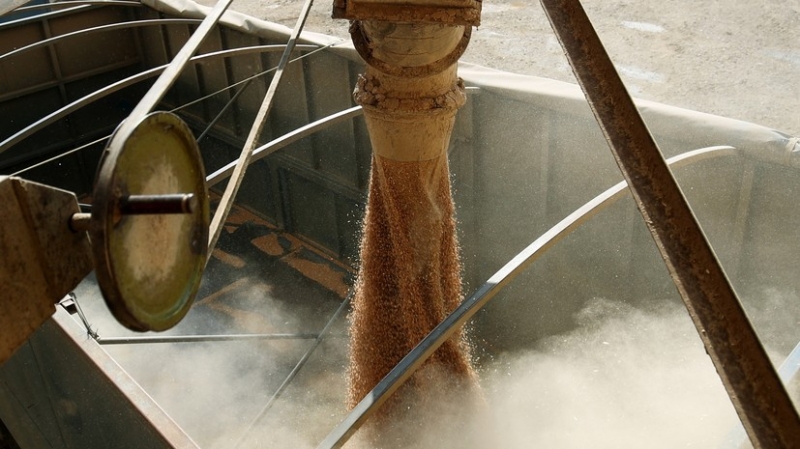 &laquo;Условия не выполнены&raquo;: в РФ заявили об отсутствии прогресса в реализации зерновой сделки