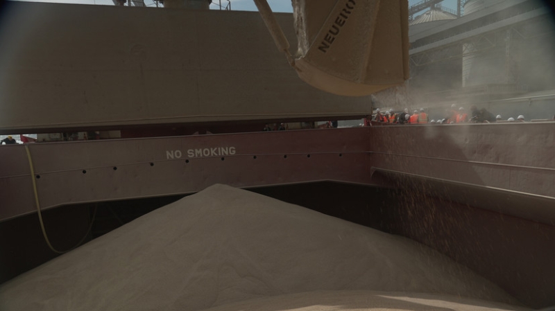 В МИД России заявили, что Москве не поступала информация о встрече по зерновой сделке