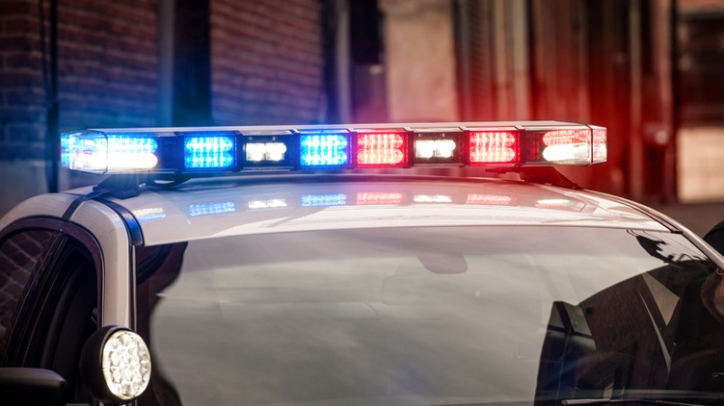 В Нидерландах арестовали водителя с поддельными украинскими правами Бориса Джонсона