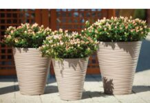 Популярные горшки для цветов: стиль и функциональность, объединенные в одном