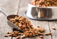 РИА Новости: посол Италии заявил о желании вернуть в Россию поставки кормов для животных