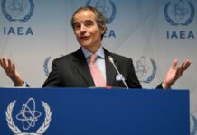 Ульянов допустил новый визит главы МАГАТЭ в Москву