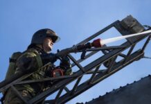 В зоопарке Ростова-на-Дону началась эвакуация животных из-за пожара