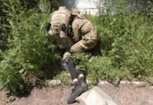 «Довести умысел до конца подрывник не успел»: в ФСБ заявили о предотвращении покушения на главу Крыма Аксёнова