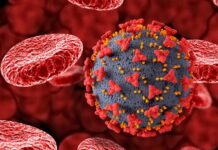 Эпидемиолог Пшеничная заявила, что коронавирус может спровоцировать аутоиммунную патологию