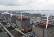 Французский депутат выразил опасения в связи с ситуацией на Запорожской АЭС