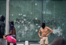 МИД России: протестующие во Франции применили поставляемое Западом Киеву оружие