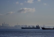 Переложить ответственность: США обвинили Россию в наличии планов по атаке гражданских судов в Чёрном море