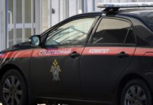 Подозреваемый в убийстве Ржицкого в Краснодаре признал вину