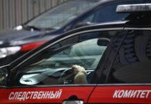 Тело пропавшей в Оренбургской области девочки обнаружили в водоёме