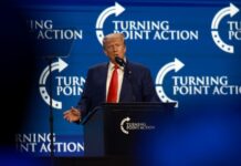 Трамп назвал безумными рассуждения о приёме Украины в НАТО