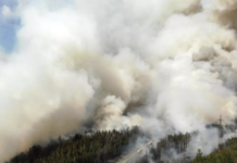 В Челябинск пришёл смог из-за сильных пожаров в Свердловской области