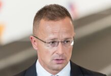 Глава МИД Венгрии предложил перенаправить российский газ по «Турецкому потоку»