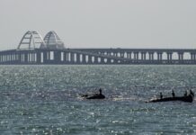 Силами ПВО и средствами РЭБ: МО РФ сообщило об отражении атаки 20 украинских беспилотников на Крым