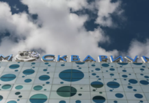 В Москвариуме родился дельфинёнок Локи