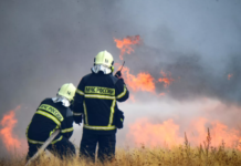 В сельском поселении под Ростовом ввели режим ЧС из-за лесного пожара