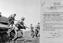 «Вермахт скрутили в дугу»: Минобороны РФ опубликовало архивные материалы о Курской битве