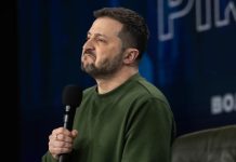 Federalist: на Украине не проводят выборы из-за опасений проигрыша Зеленского