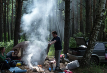 Россиянам рассказали, как себя вести при встрече с диким животным в лесу