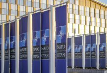 Бауэр: на саммите в США не будут говорить о сроках вступления Украины в НАТО