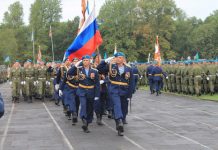 «Десантники своих не бросают»: боец на СВО вместе с сослуживцами спас осиротевших щенков овчарки