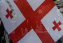 Грузинская партия обратилась к России с просьбой по визовому режиму