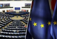 «Ниспровергают установленный порядок»: почему в Европе укрепили свои позиции правые политические силы