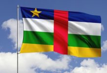 Посол: ЦАР заинтересована в активизации диалога с Россией в топливной сфере