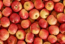 Путин поручил принять меры для недопущения скачков цен на яблоки