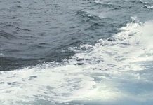 Tages-Anzeiger: Дания не имеет права ограничивать судоходство в Балтийском море