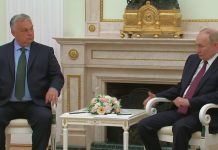 «Готов обсудить с вами нюансы»: Путин намерен ознакомить Орбана с деталями мирного плана России