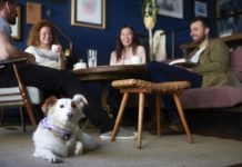 Роскачество: посетителей кафе должны предупреждать о наличии животных в зале