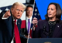 «Удобный спарринг-партнёр»: каковы шансы Камалы Харрис победить Дональда Трампа на предвыборных дебатах