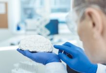 Цифровой мозг: учёные разработали новый материал для нейроморфных запоминающих устройств