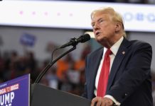 На фоне обмена заключёнными: Трамп поздравил Путина с «удачной сделкой»