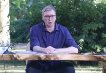 Одной из главных тем переговоров Вучича и Макрона будет украинский конфликт