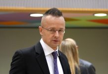 Сийярто: упрощение получения виз для россиян не угрожает безопасности Шенгена