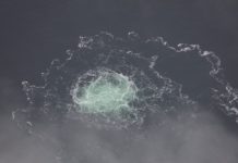 «Сомнительные в ключевых моментах»: почему в ФРГ не верят сообщениям о причастности Украины к подрыву «Северных потоков»