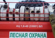 Спасатели потушили пожар в лесу под Анапой