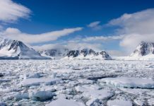 Учёные зафиксировали рекордно высокую температуру в Центральной Антарктиде