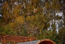 Баня-бочка: идеальный выбор для вашего участка