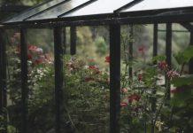 «Минимальное вмешательство со стороны человека»: разработчик — о выращивании овощей и фруктов в умной ферме