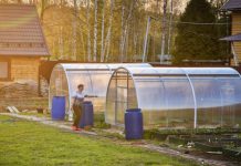 За бани, теплицы и сараи: с 2025 года владельцы хозпостроек с фундаментом будут платить налог