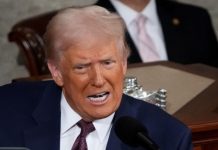 Аналитик Ярыгин объяснил позицию Трампа по поводу разведданных для Украины