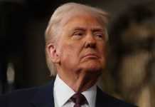 Дмитрук: гибель украинцев пытается остановить не Зеленский, а Трамп