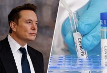 Ковид на госконтракте: что известно об американской фирме, обвиняемой Маском в исследовании биооружия