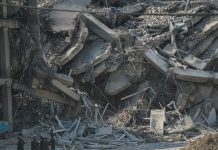 Сейсмолог Шебалин — о землетрясении магнитудой 5,1 в Мьянме: это афтершок