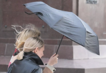 В МЧС предупредили о сильном порывистом ветре в Москве в пятницу