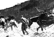 «Громила немцев в горах и на море»: историк — о «младшей сестре» легендарной боевой машины «катюша»